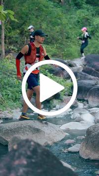 BIB:  <button type="button" onclick="openModal(28091145)" class="btn btn-primary btn-sm float-right" data-toggle="modal" data-target=".modal-high-quality">
                <i class="fa fa-download"></i> Download
                </button>